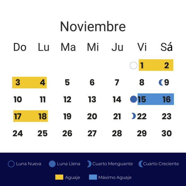 Calendario Aguajes 2024-11