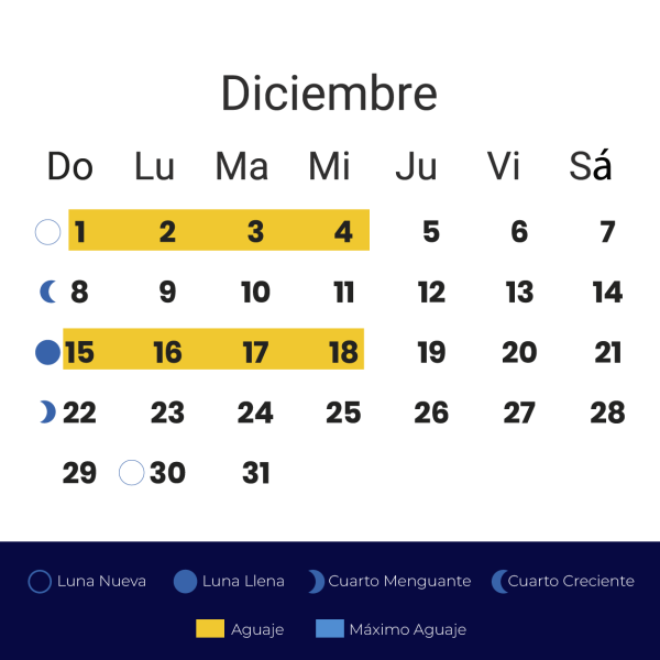 Calendario Aguajes 2024-12